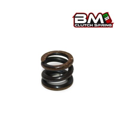 BM IBRIDA Clutch Spring 1/8